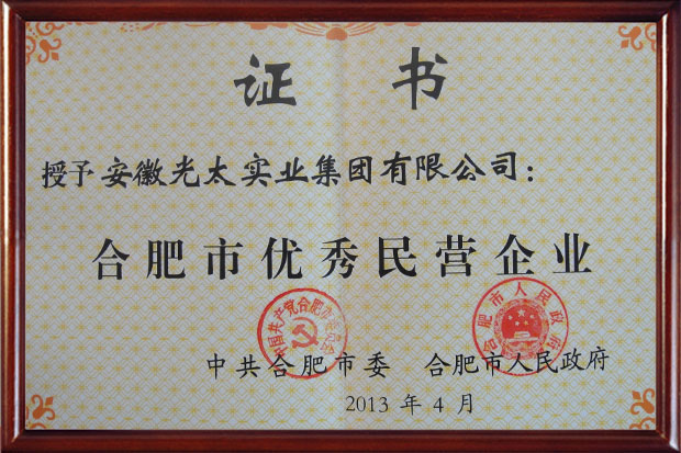 合肥市優(yōu)秀民營企業(yè)